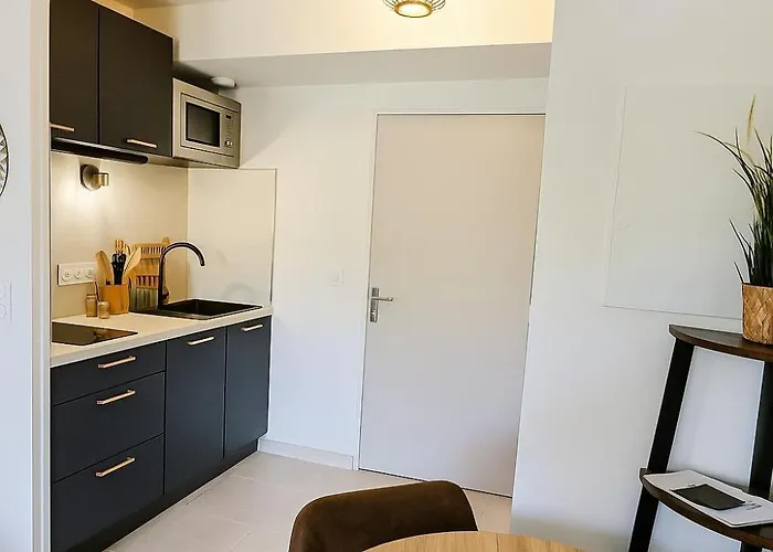 Apartamento T1 Bis Rénové, Clim Et Confort - Raphaël *