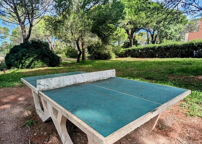 Apartment T1 Bis Renove, Clim Et Confort - Raphael *